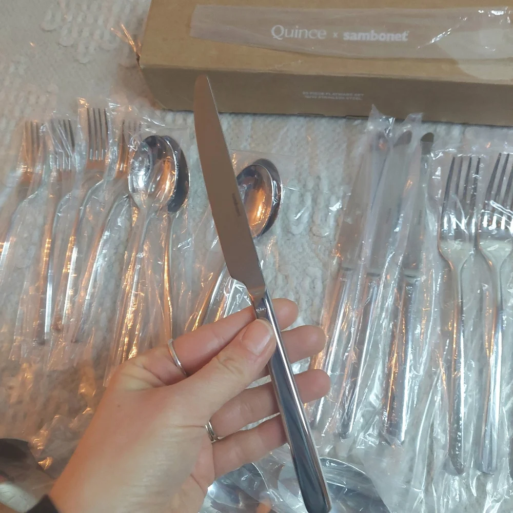 NEW! Quince- Sambonet Gia Minimalist 20 Piece Stainless Steel Flatware Set!(B4)